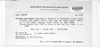 Image Associated With the Occurence